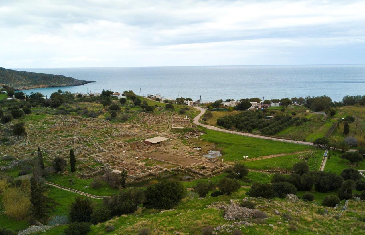 Little Blue * Zakros